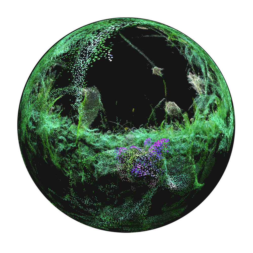 copyright Lisa Collomb 2023 1m2, pointcloud