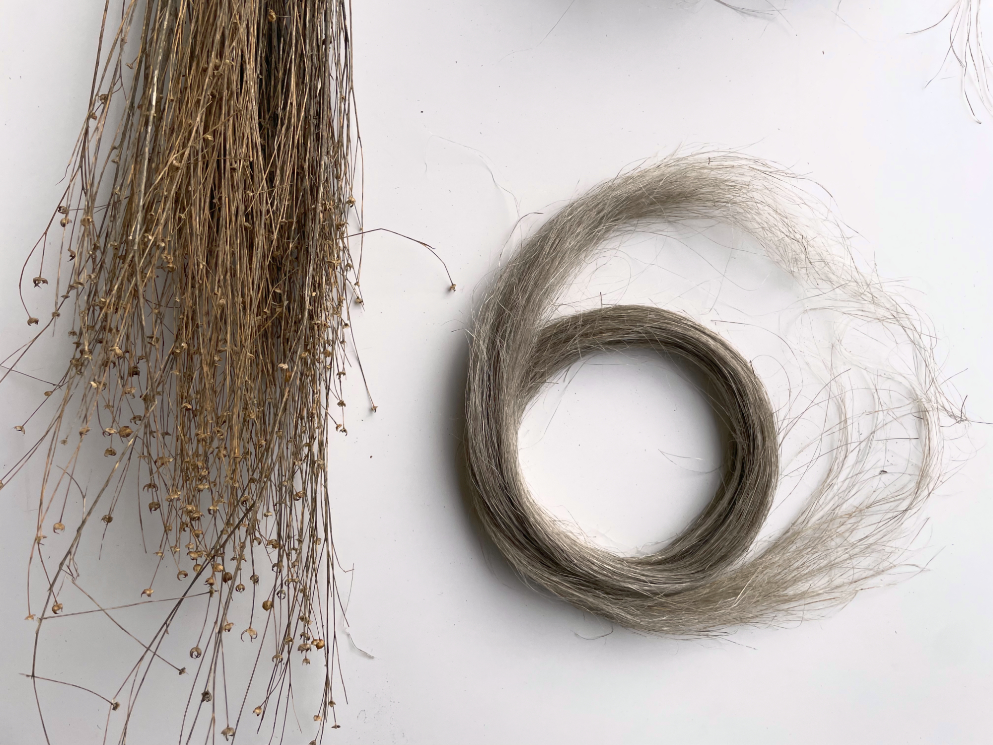 copyright Lisa Collomb Slow Mode, flax