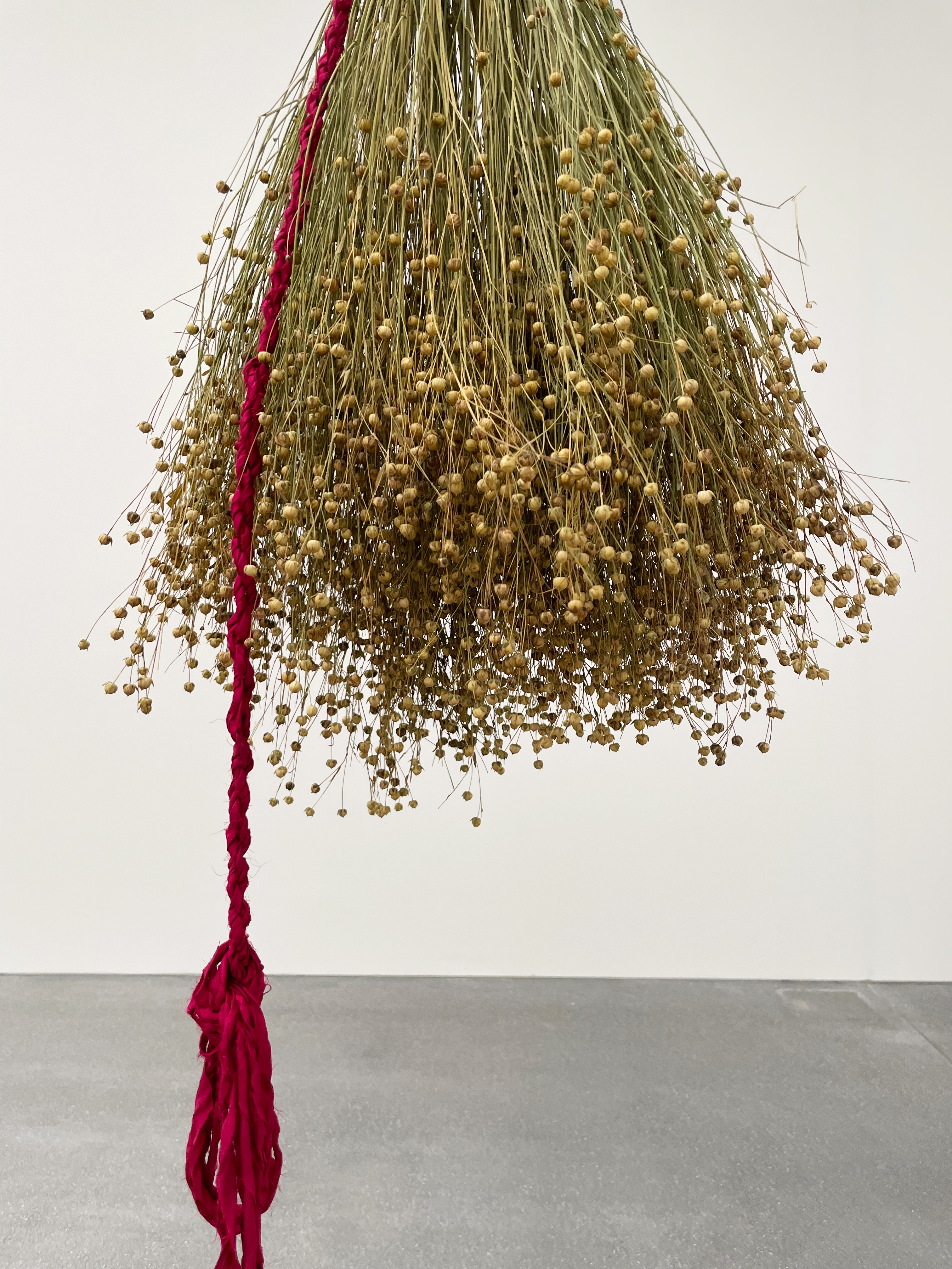 copyright Lisa Collomb Upside Down, flax installation